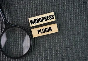 虫眼鏡で「WORDPRESS PLUGIN」と書かれた木製ブロックを調べる