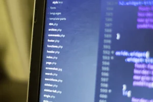 WordPressのコードエディタ画面、構造化データ関連のファイルが表示されている